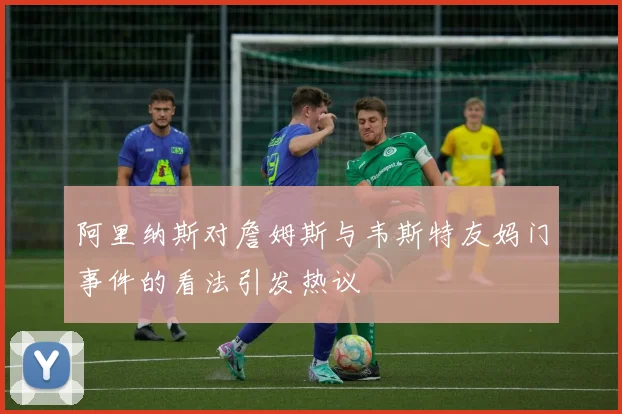 阿里纳斯对詹姆斯与韦斯特友妈门事件的看法引发热议
